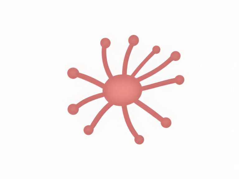 Thiobacillus Denitrificans Is A Species Of Bacteria - Ciplav.com