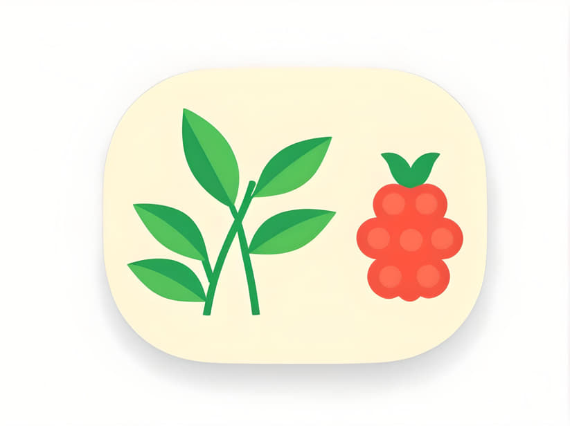 Are Steviol Glycosides Bad For You